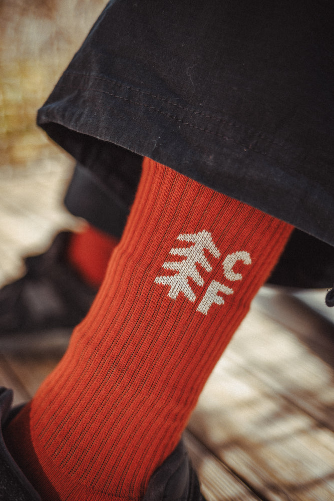 Adventure Socks 🇫🇷 Frenchy Brick