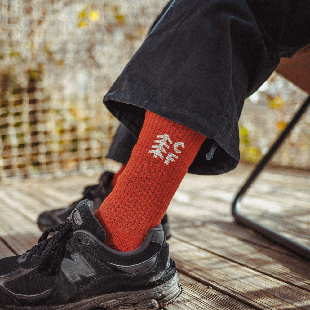 Adventure Socks 🇫🇷 Frenchy Brick