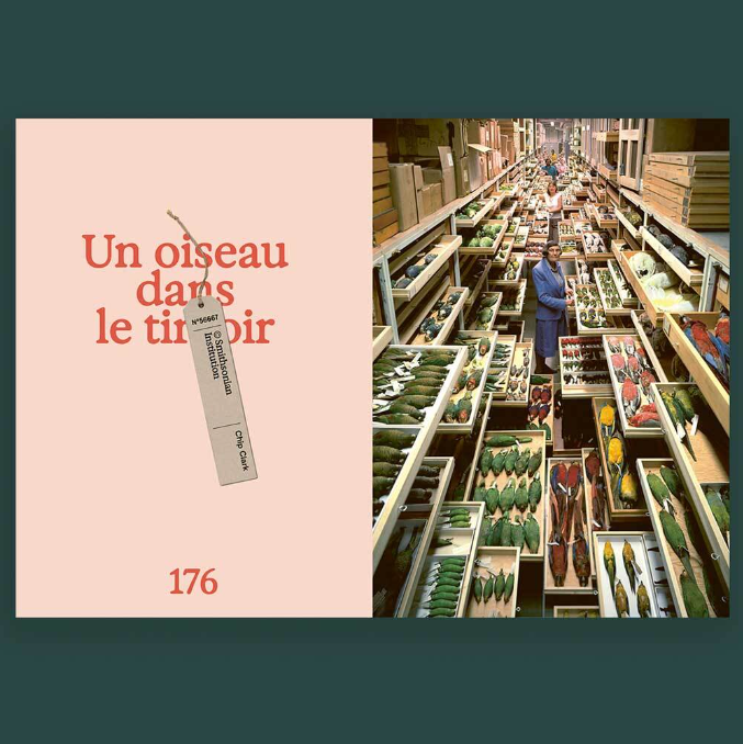 Les Others vol. 15